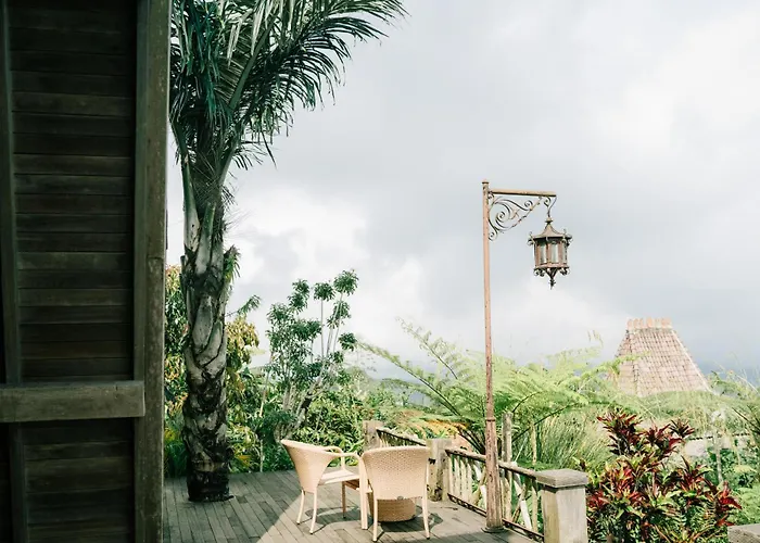 The A-frame House *